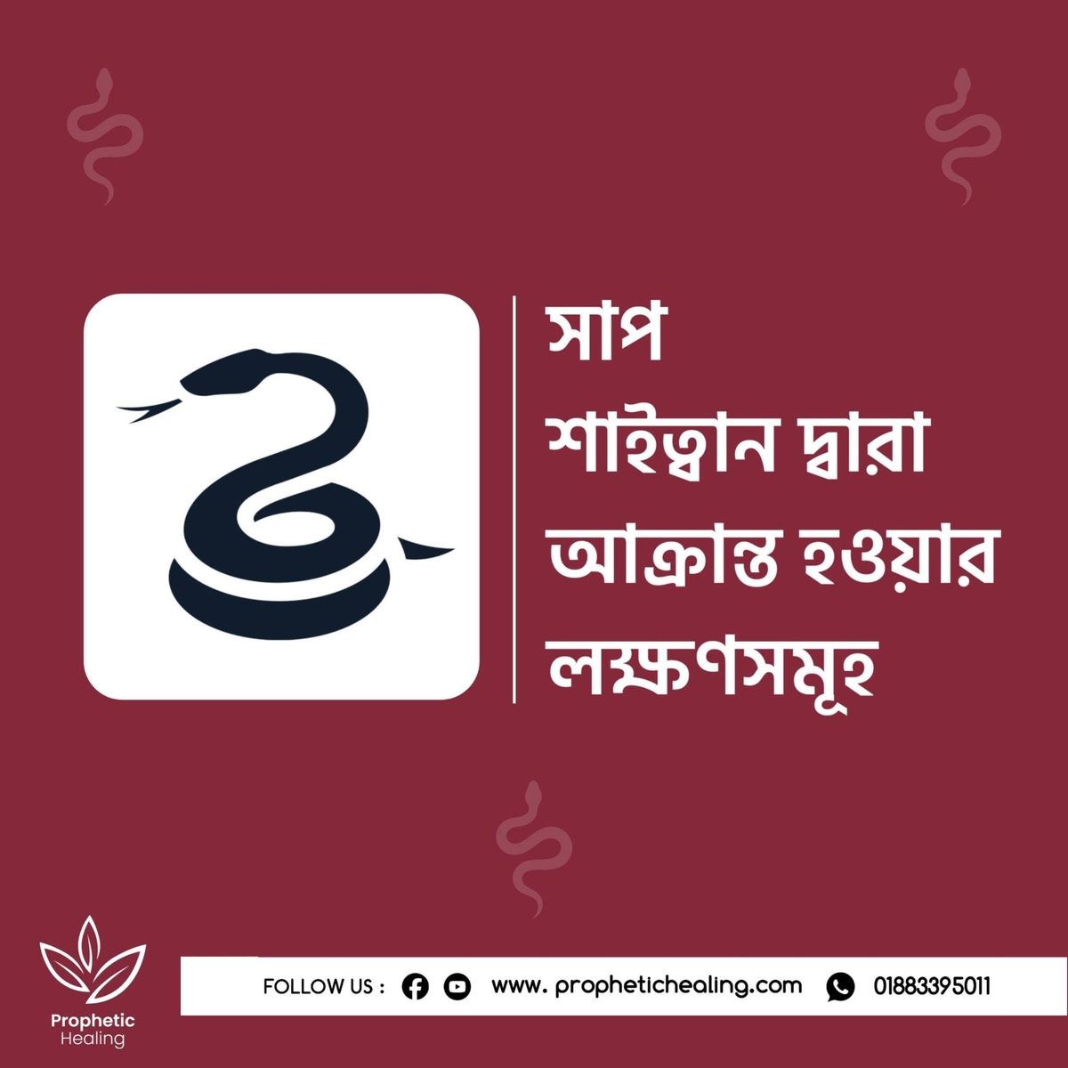সাপ শাইত্বান দ্বারা আক্রান্ত হওয়ার লক্ষণ