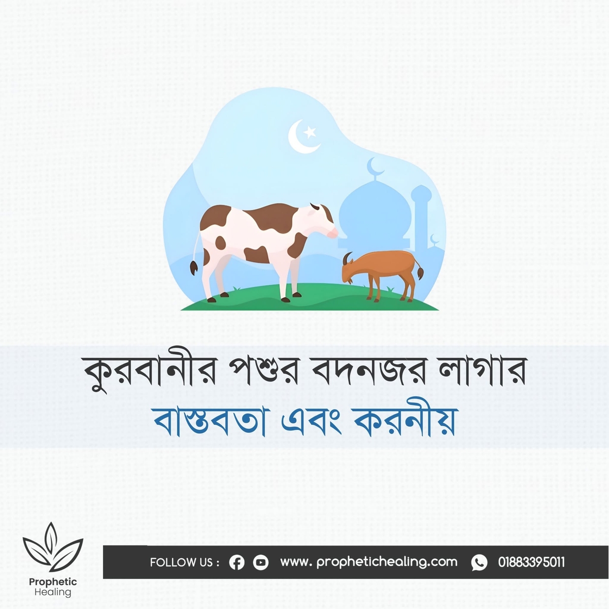 পশু-পাখির উপর কি বদনজর লাগতে পারে?